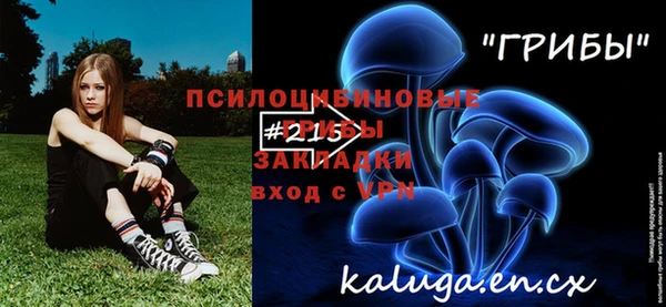 МДМА Новозыбков