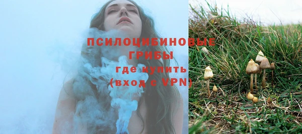 МДМА Новозыбков
