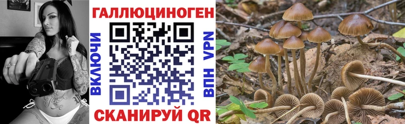 Псилоцибиновые грибы GOLDEN TEACHER  Гусиноозёрск 